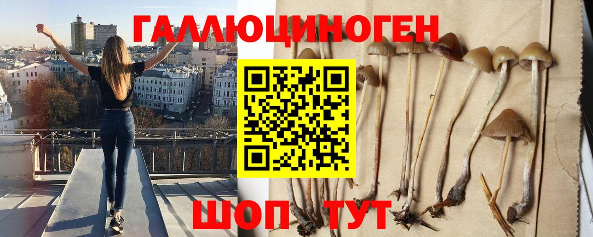 Псилоцибиновые грибы Magic Shrooms Можайск