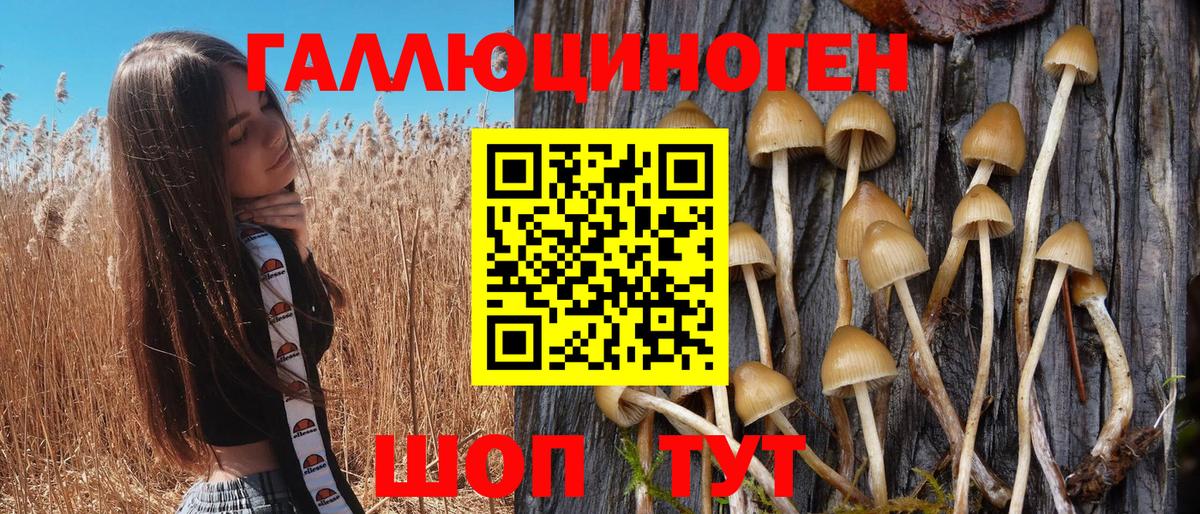 Можайск  Галлюциногенные грибы Cubensis  Вход с VPN  Псилоцибиновые грибы Psilocybe 